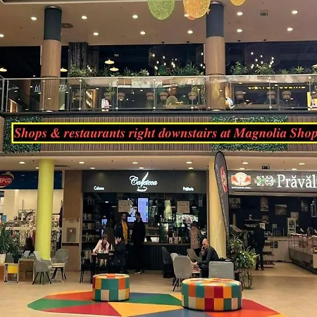 Tampa Sunshine - Free Private Parking Appartement *