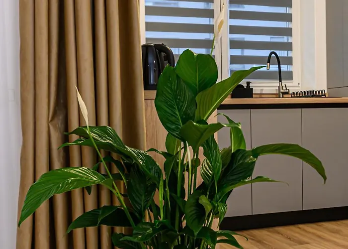 Mountain Whisper - Quiet With Free Parking Appartement Braşov